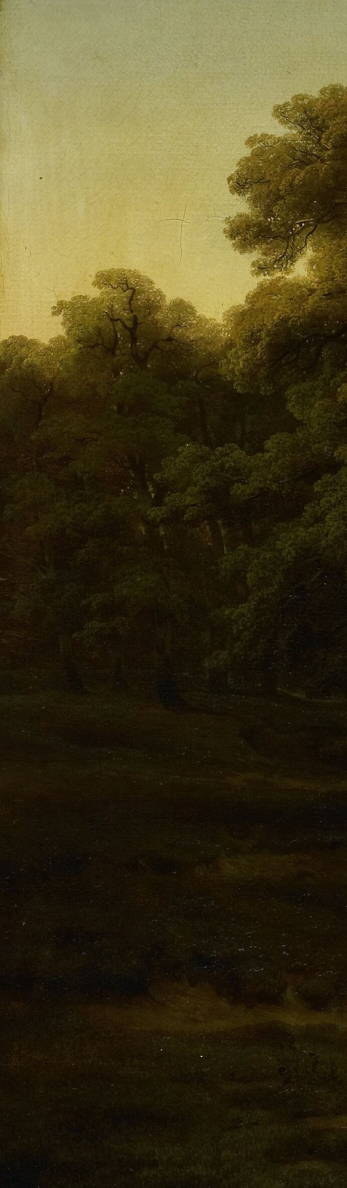 Functions as a repoussoir framing device; its rough bark texture and commanding scale are Calame's signature compositional anchor