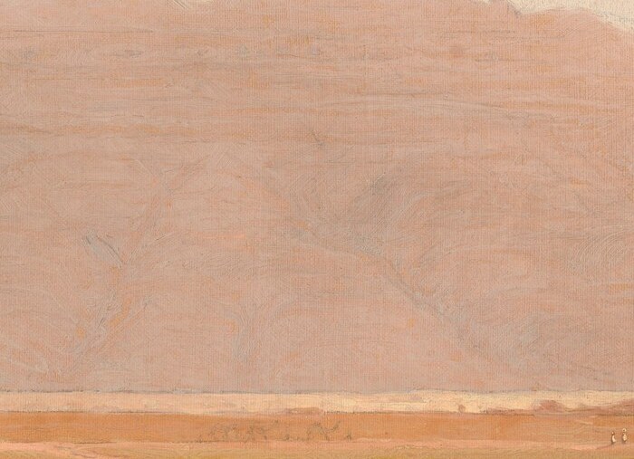 In December 1998, this canvas went up for auction at Christie's.