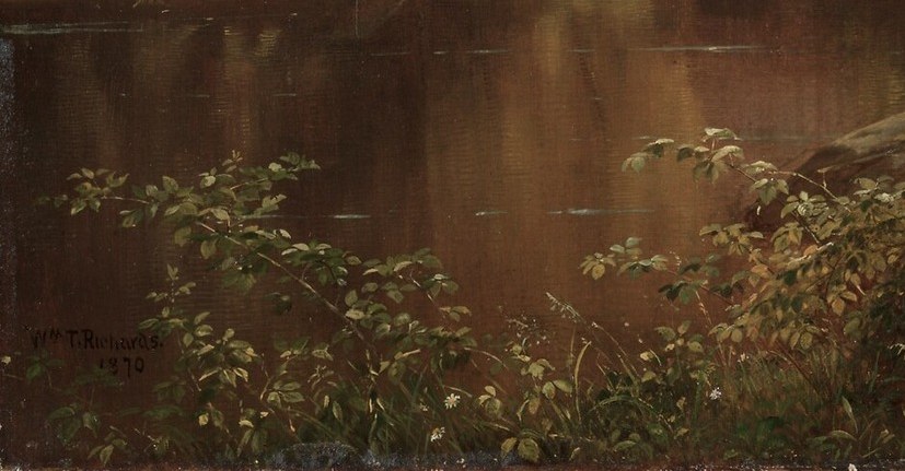 But a closer look reveals its texture.