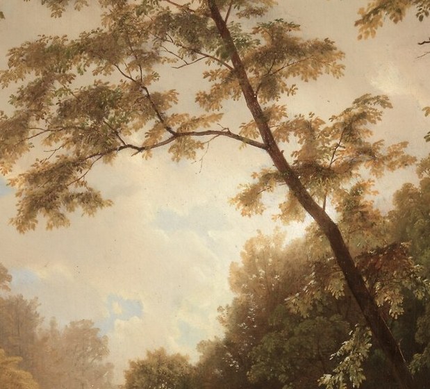 Look at the sunlight through the leaves.
