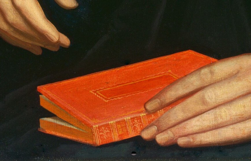 She holds a small red book, a private world in her hands.