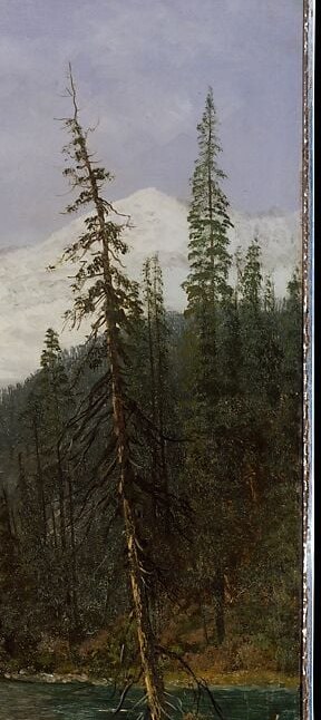 A single vertical spruce acts as a repoussoir device that frames the valley and gives the mountain its crushing sense of scale by contrast.
