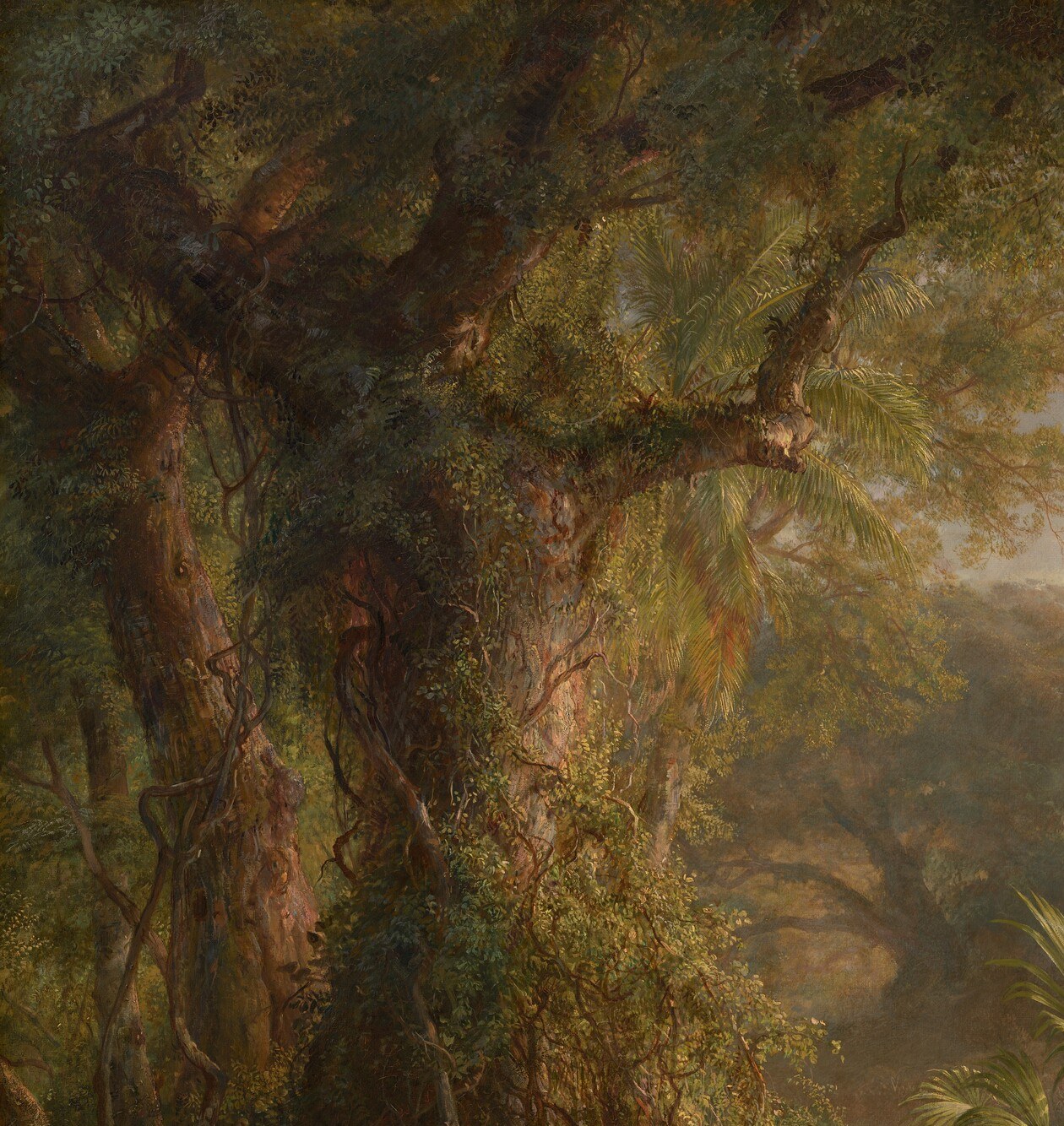 He remembered these dense tropical vines and fronds.