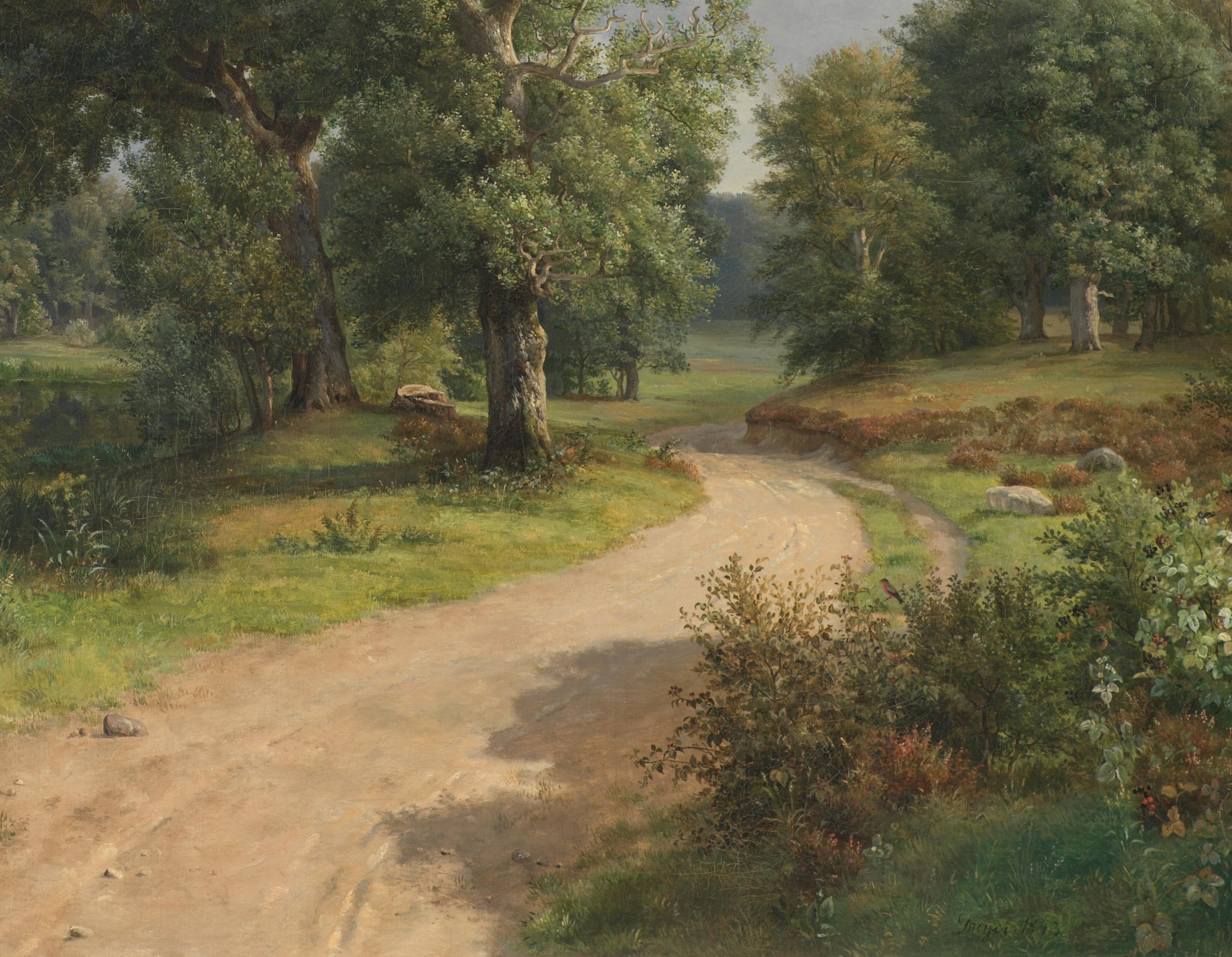 The dirt road winds, inviting you in.