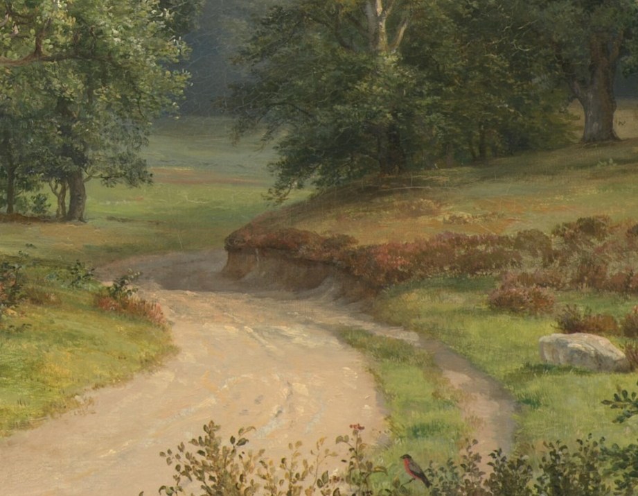 Sunlight hits the road, showing its texture.