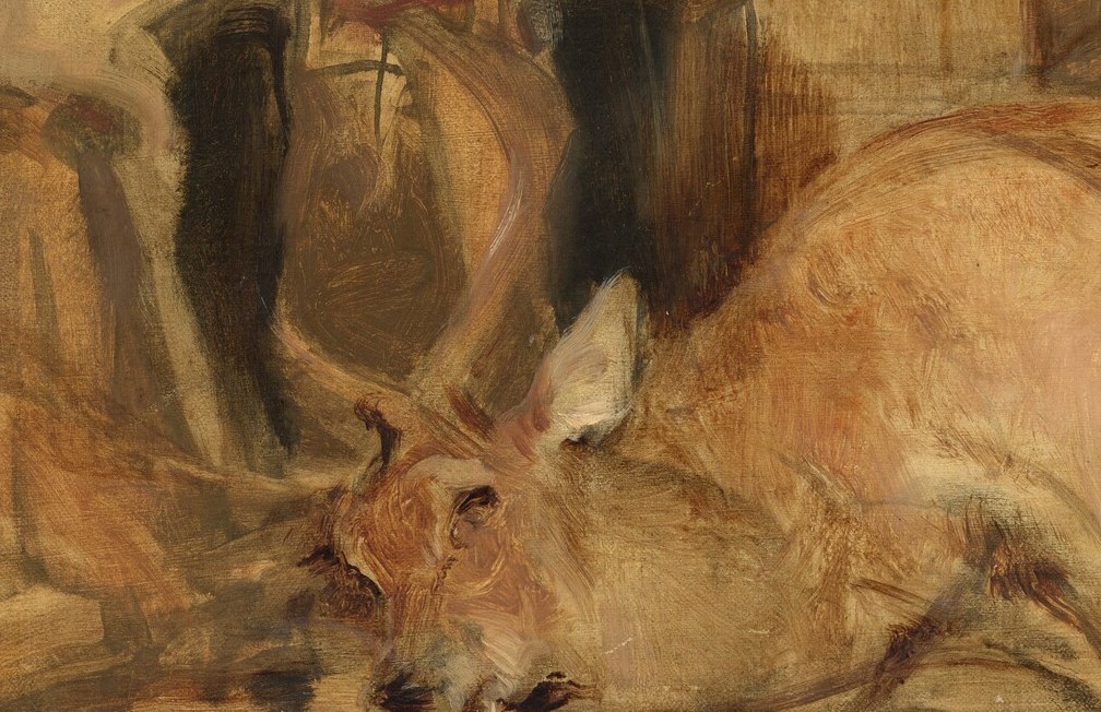 The dog's presence grounds the scene in a domestic or sporting context, its relaxed pose indicating comfort.