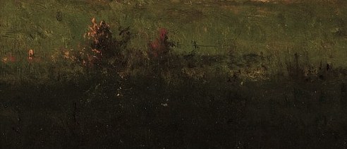 The light catches grass in a sunlit patch.