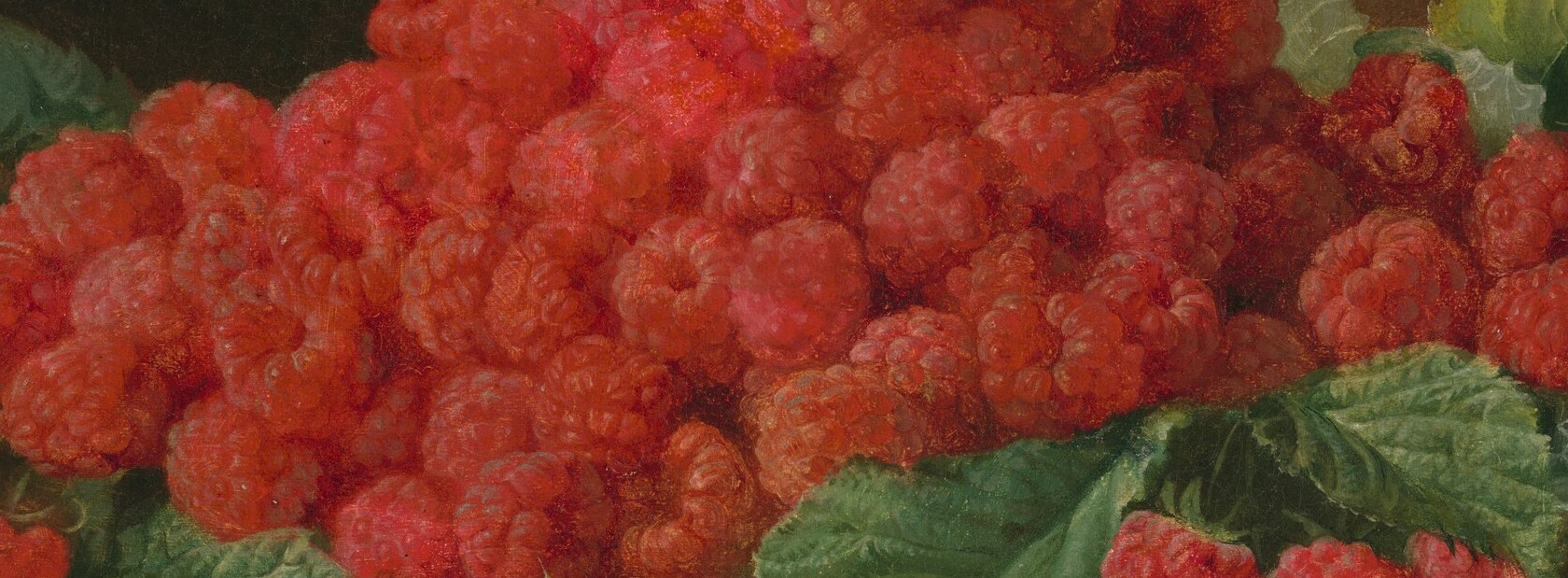 See how light catches the dewy skin of the fruit.