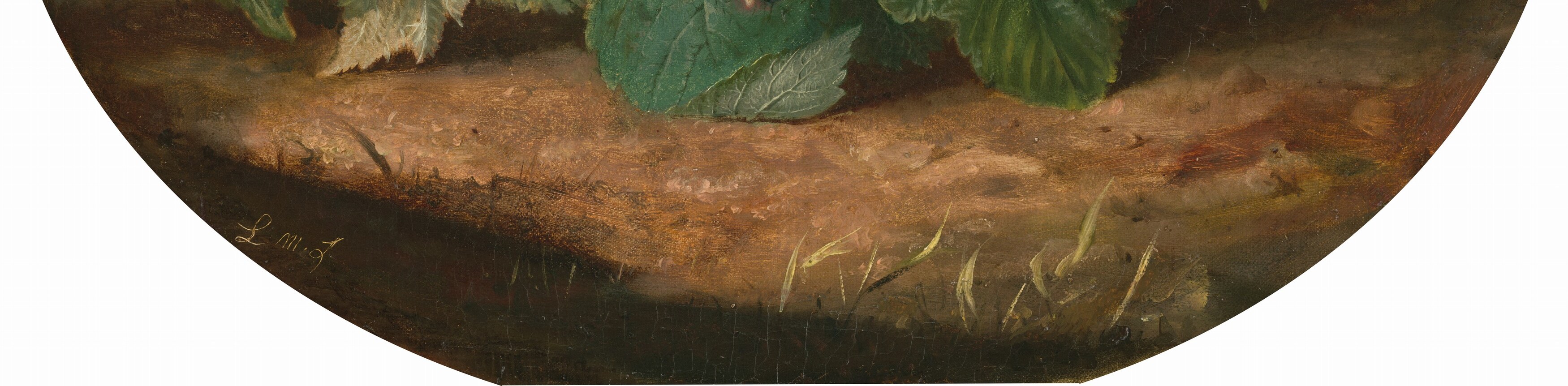 The rough, earthy texture provides a grounding contrast to the delicate fruit, suggesting a natural setting.