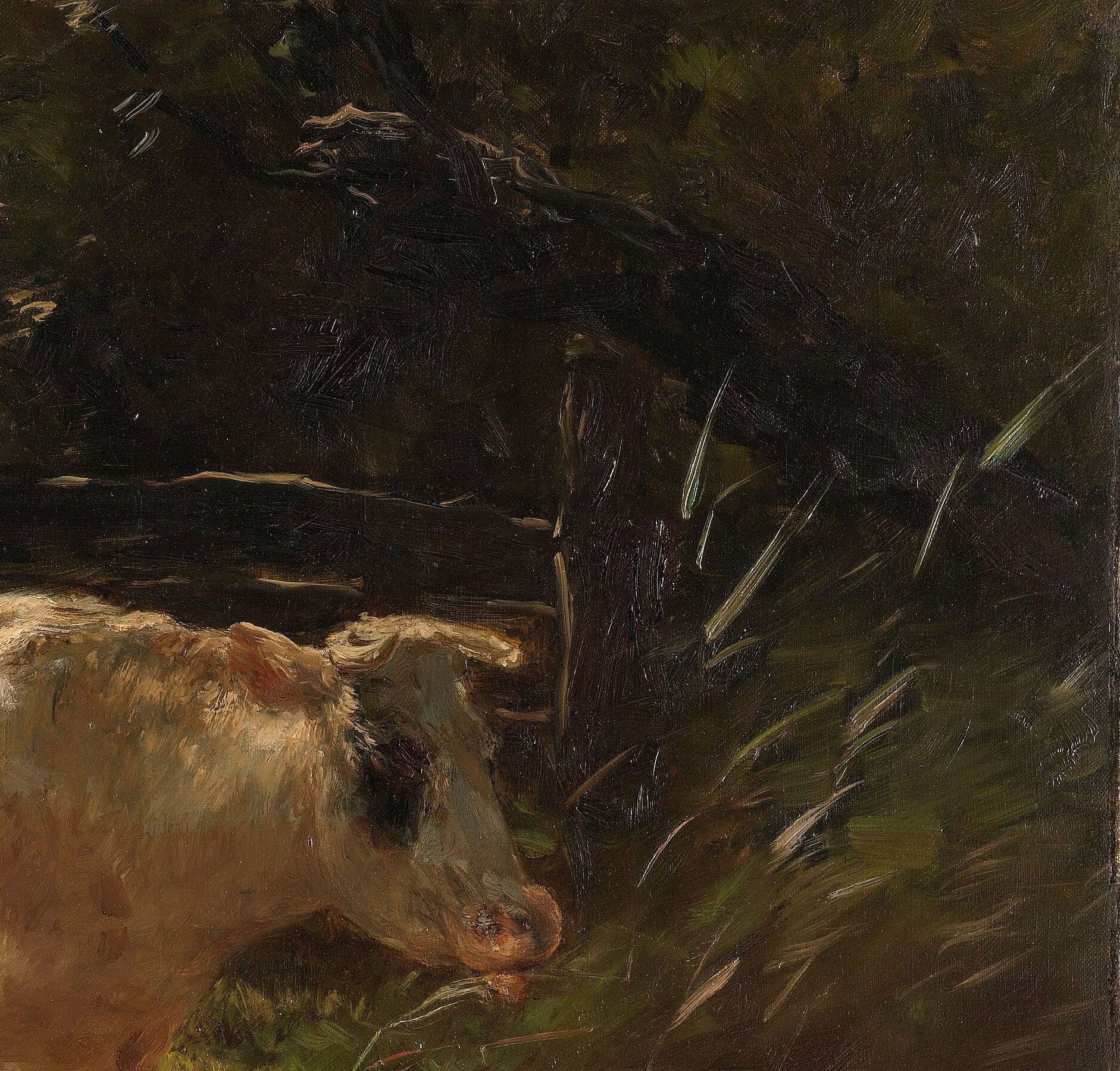 The dense foliage creates a dark, textured backdrop that makes the lighter cow stand out.
