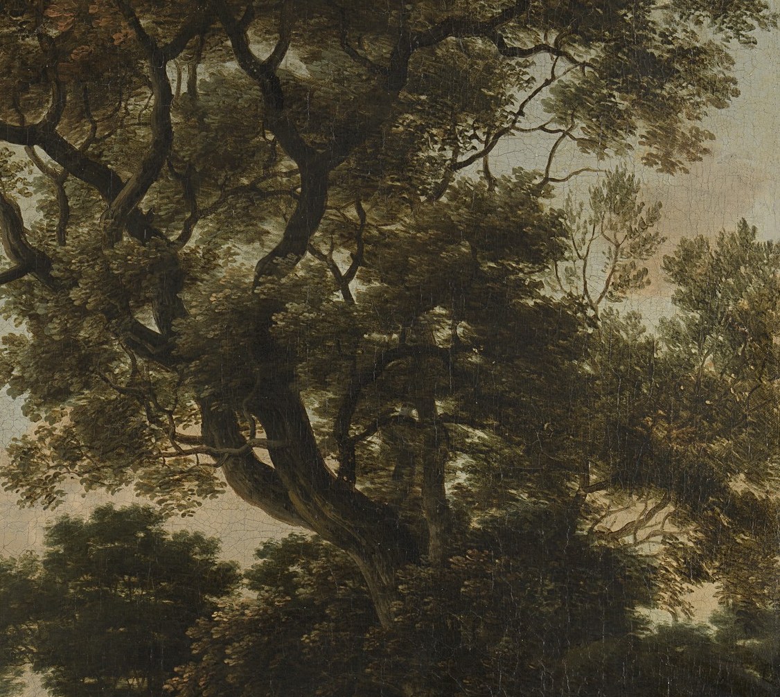 These dense branches create a dramatic frame, emphasizing the contrast between light and shadow and the lushness of the foliage.