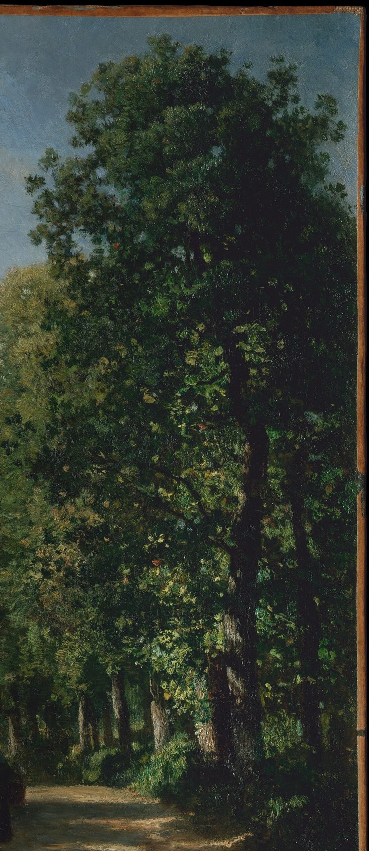 They focused on capturing the French countryside with realism.