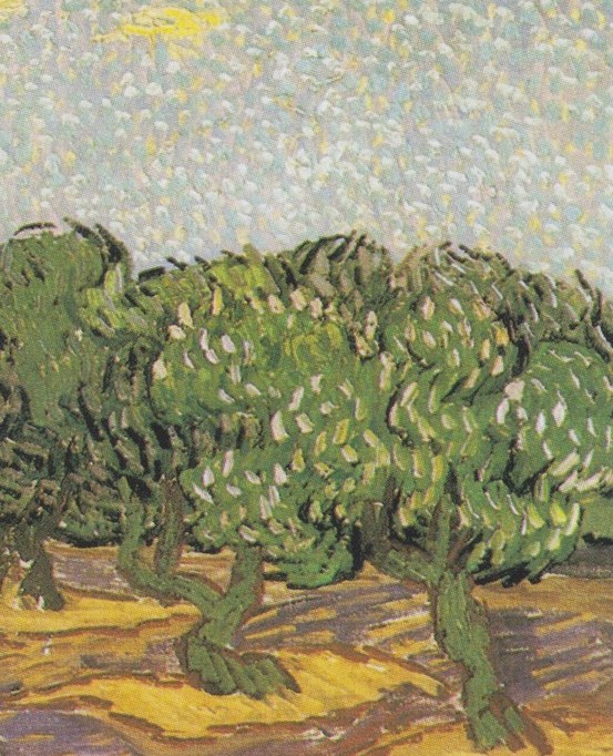 A few months later, he sends a batch of olive paintings to Brussels.
