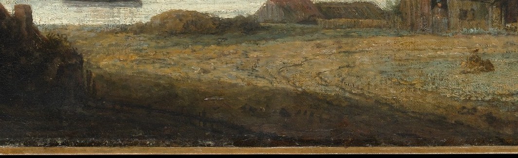 Notice the intense texture of this patchy grassland.