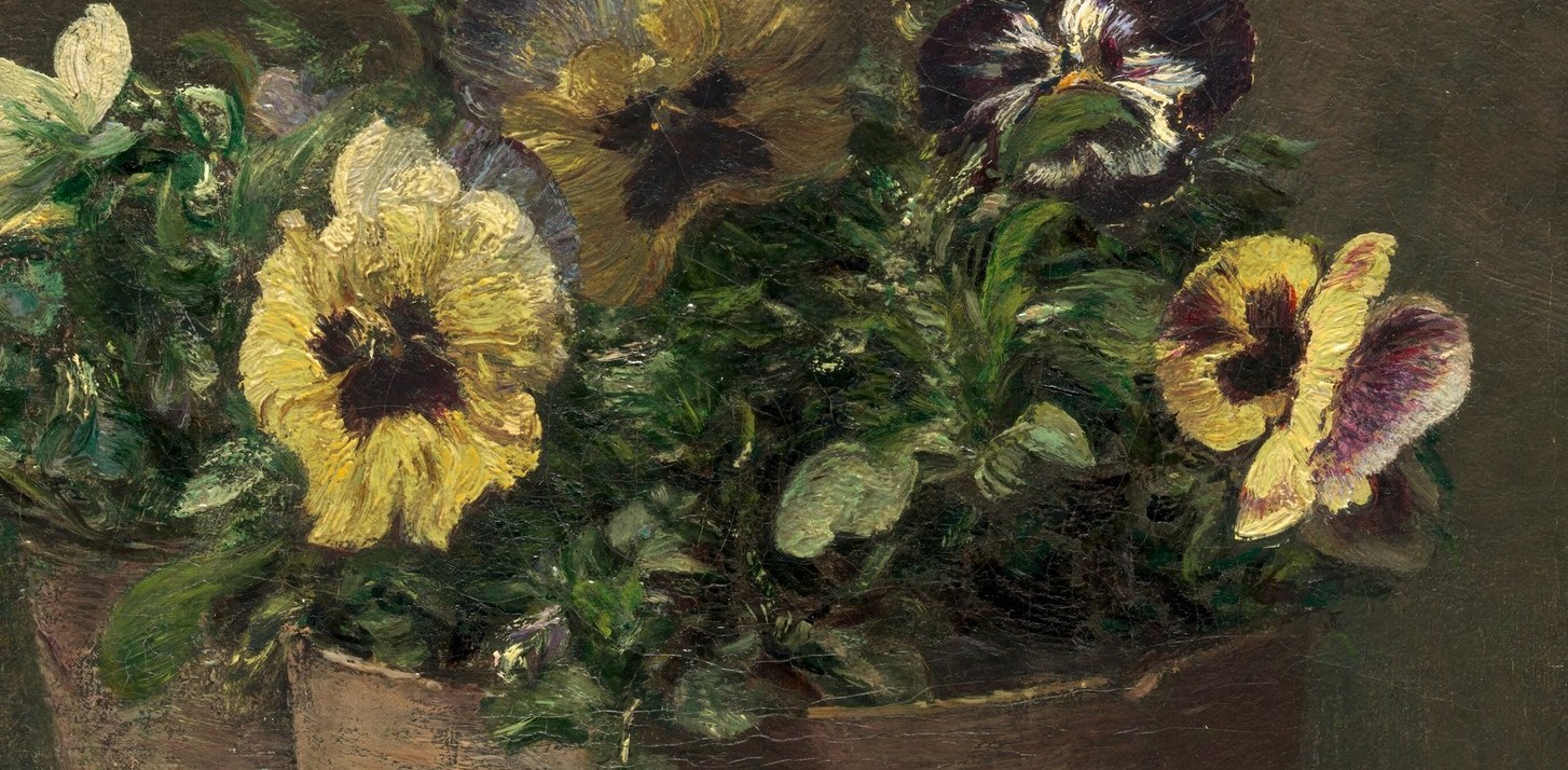 Each color of pansy carries a specific message.