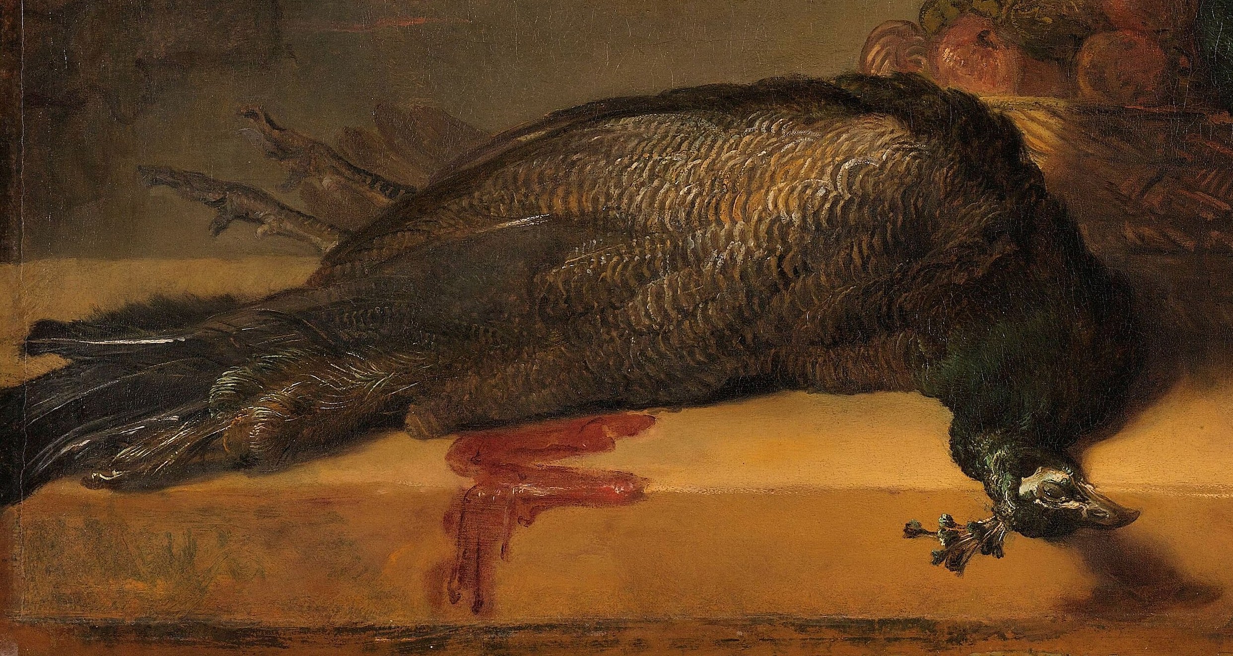 The vibrant feathers of the dead birds contrast with their stillness.