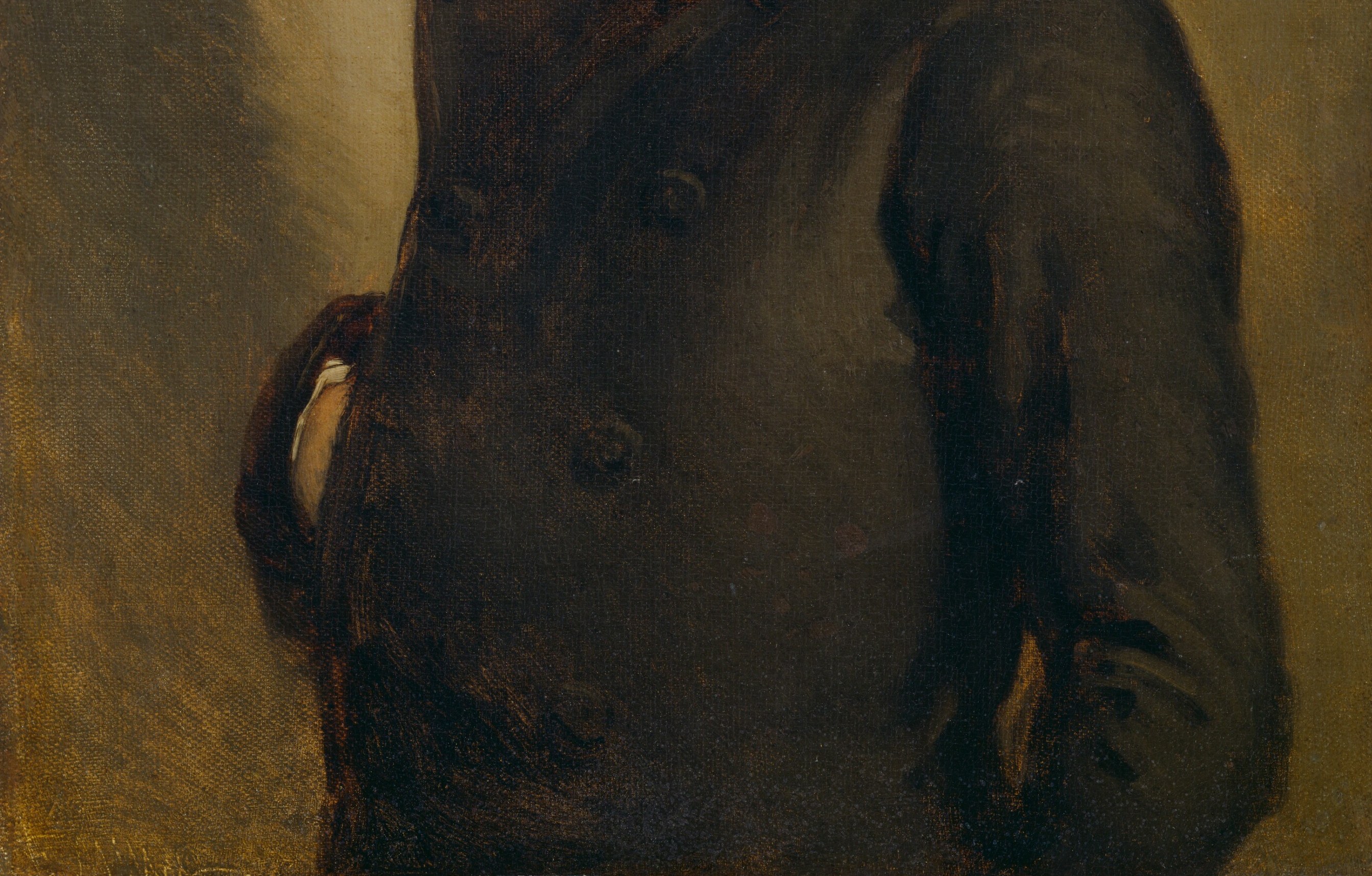 This technique gives the illusion of texture and movement.