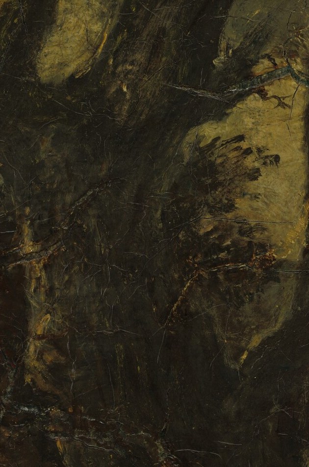 It gives the bark a rugged, almost sculptural texture.