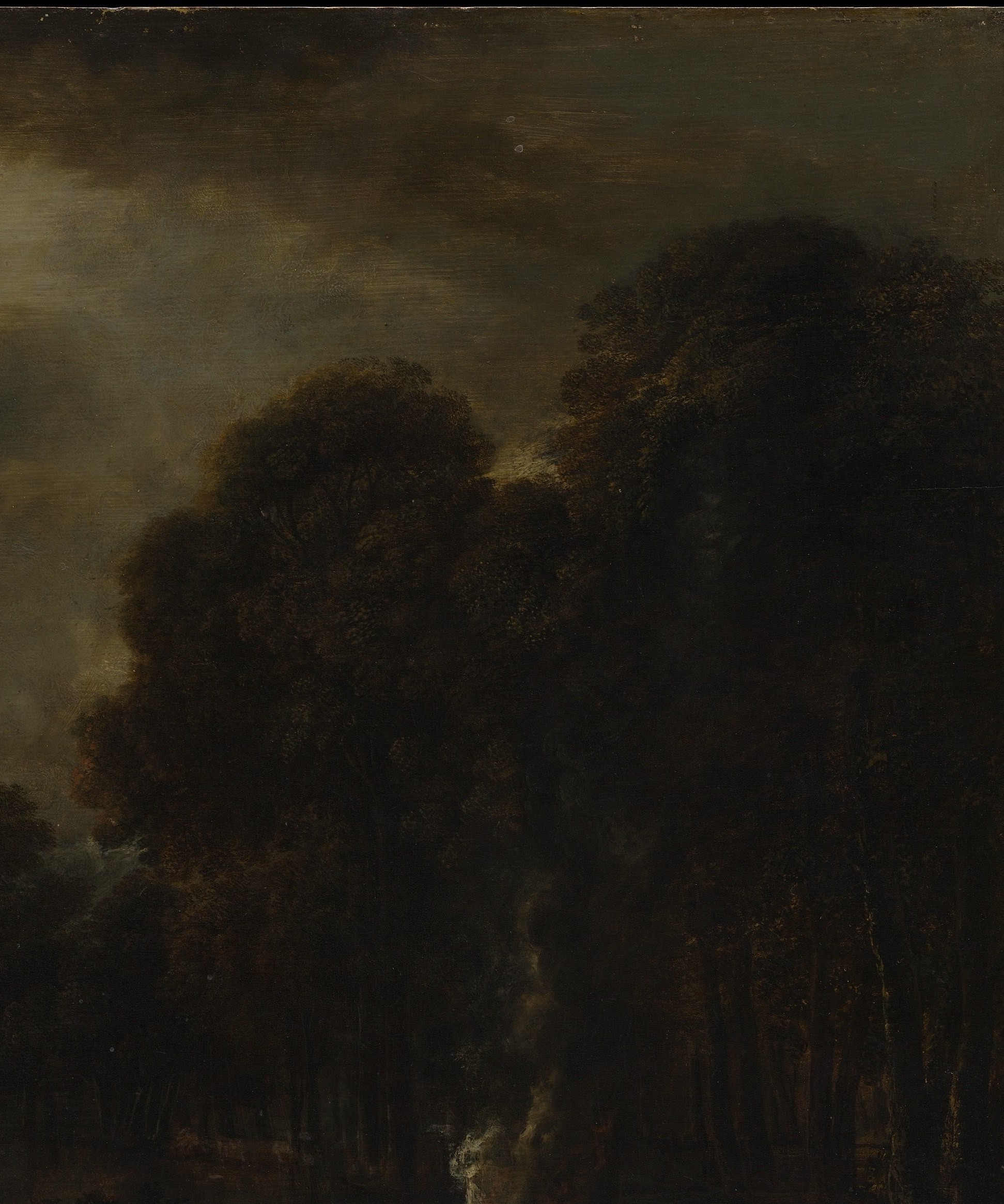 Van der Neer uses the tree wall to push compositional weight leftward toward the fire , the ragged canopy silhouette against the sky is a technically virtuoso negative-space passage.