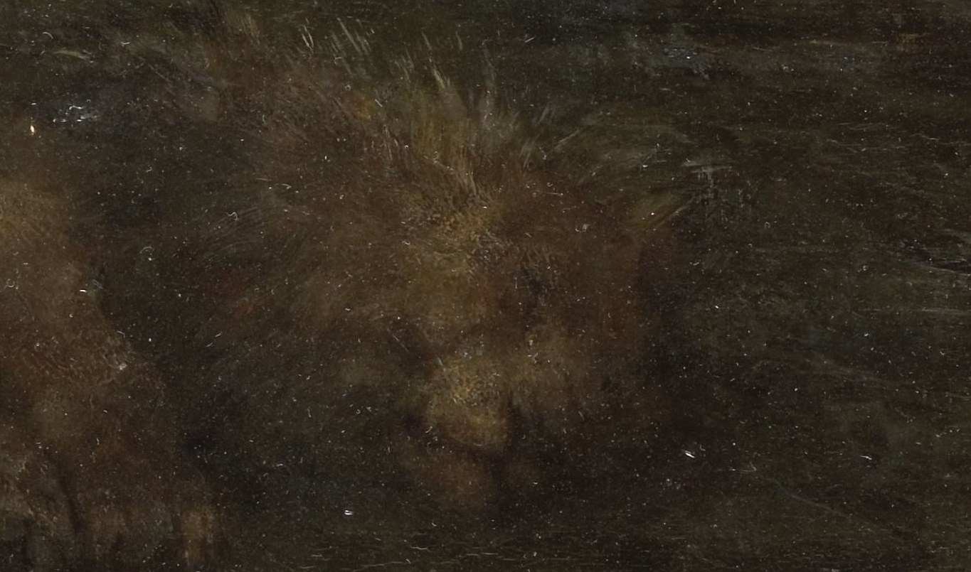 See how the painter captured the texture of its soft fur.