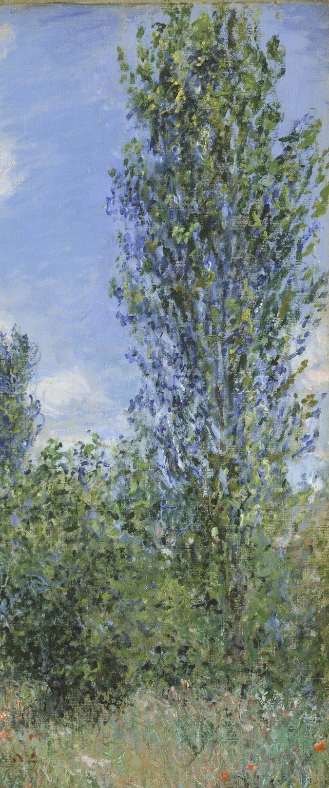 These verticals anchor the entire composition; their grey-green trunks are rendered with long confident strokes, and the feathery canopy merges into the sky in a hallmark Impressionist dissolution.