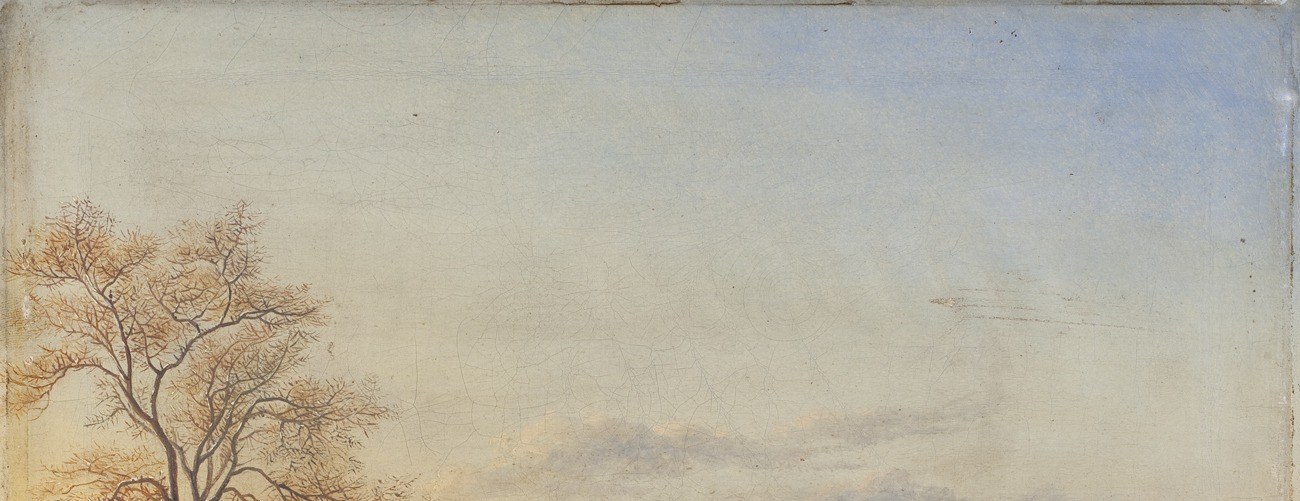Notice the subtle light, diffuse and pale.