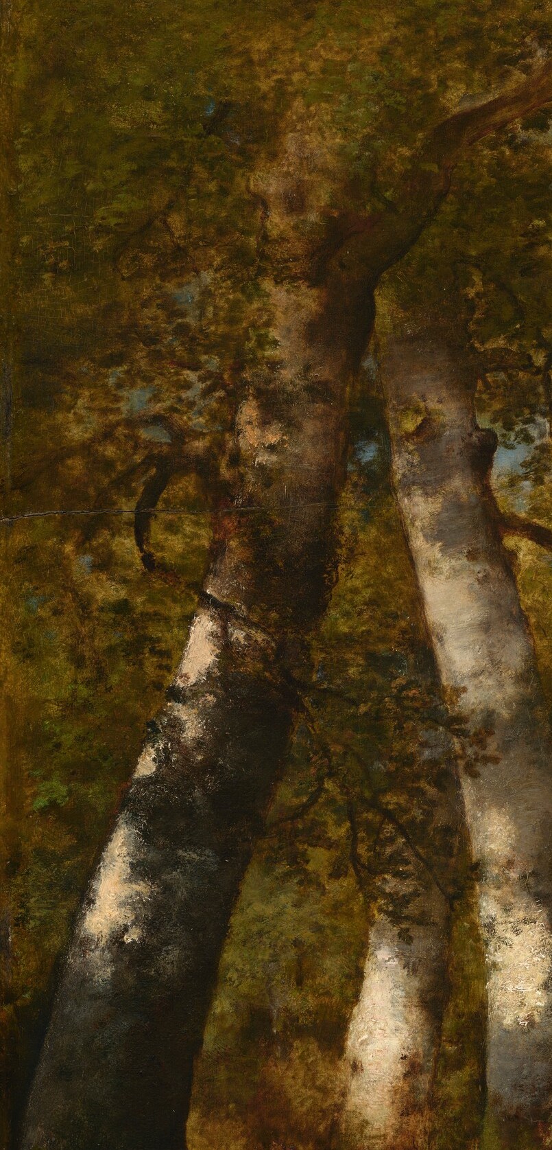 He was an artist active in the Barbizon School.