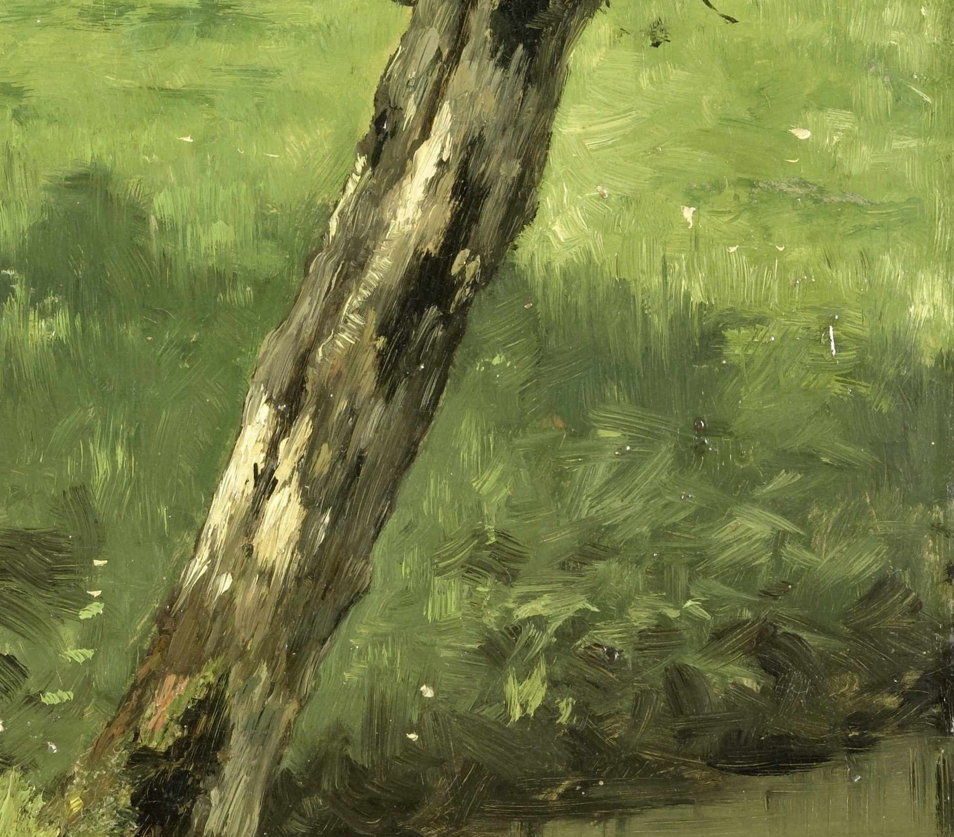 A flood of diffused sunlight across flat Dutch grassland , the spatial recession from dark foreground to radiant middle ground is the emotional core of the piece.