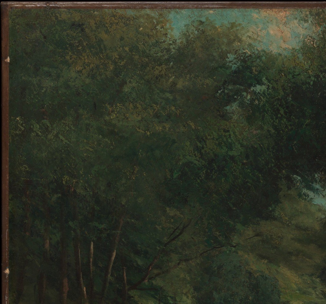 An oppressive wall of foliage that denies sky; its near-black tone creates the tunnelling effect that makes this forest feel entered, not observed from outside.