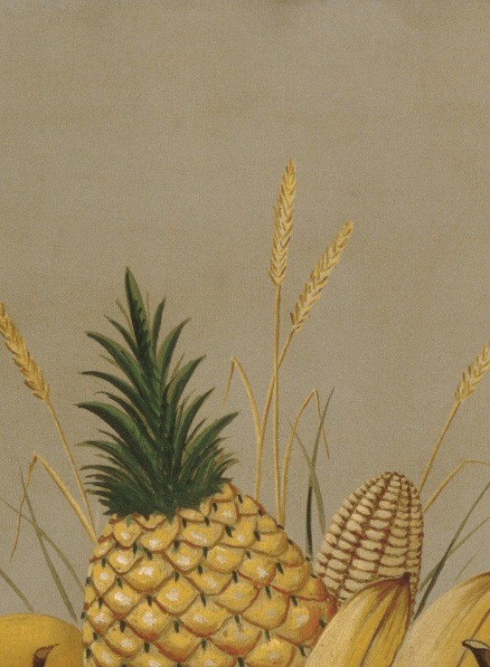 A pineapple at the apex. In 1893 New England, a luxury.
