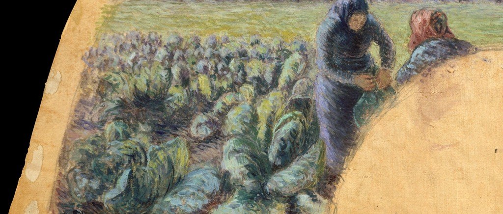 Pissarro renders the cabbages with botanical specificity , the dense leafy masses are the titular crop and the painting's literal subject, not a backdrop.