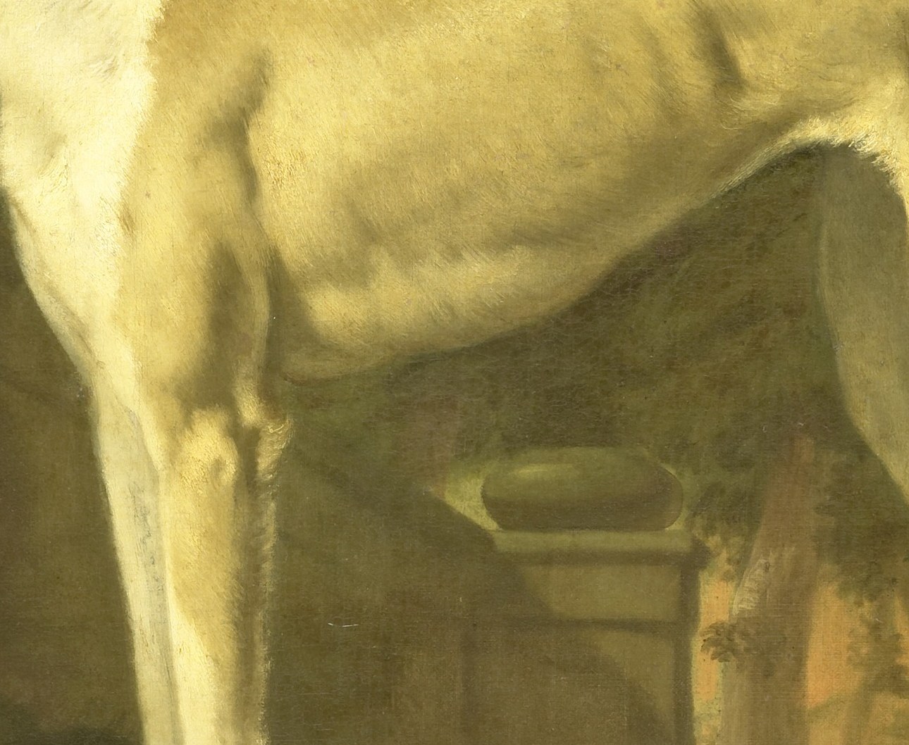 He captures the greyhound's lean form, dappled in light.