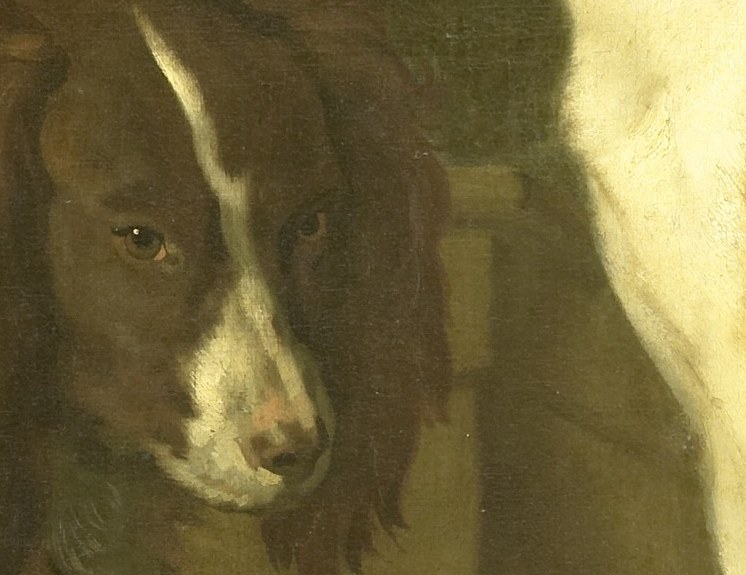 But look closely at the spaniel's collar.