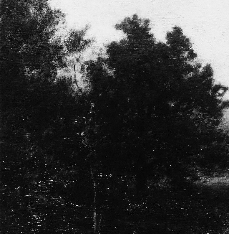 Its dense foliage and imposing presence anchor the composition and suggest solitude.