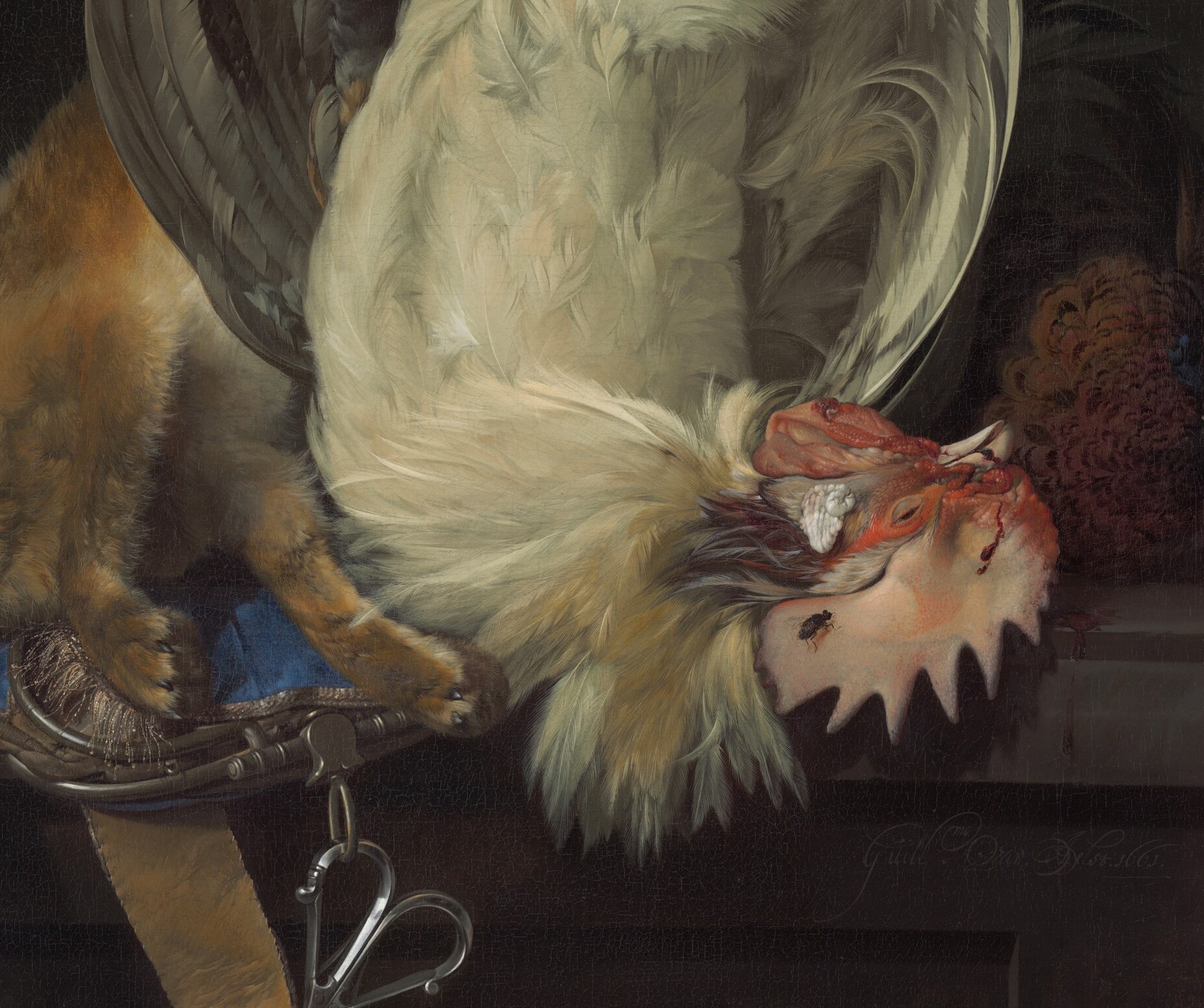 Look at the white rooster, wings still spread.