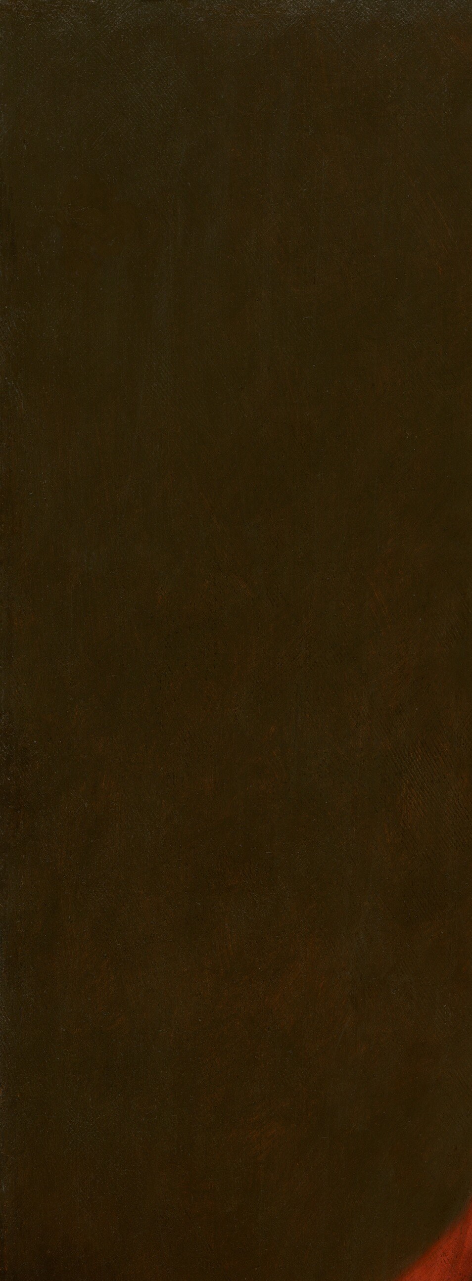 The painter used a dark background to make the face luminous.