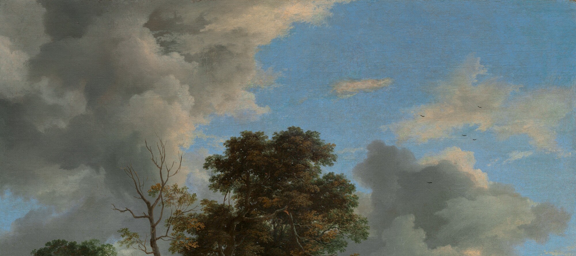 Ruisdael's signature sky , more than half the canvas; the turbulent, layered clouds with a bright sunlit break demonstrate his ability to make weather a protagonist, not just a backdrop.