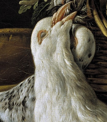 The delicate curve of the neck and the slightly parted beak suggest a final, quiet moment, adding a touch of pathos.