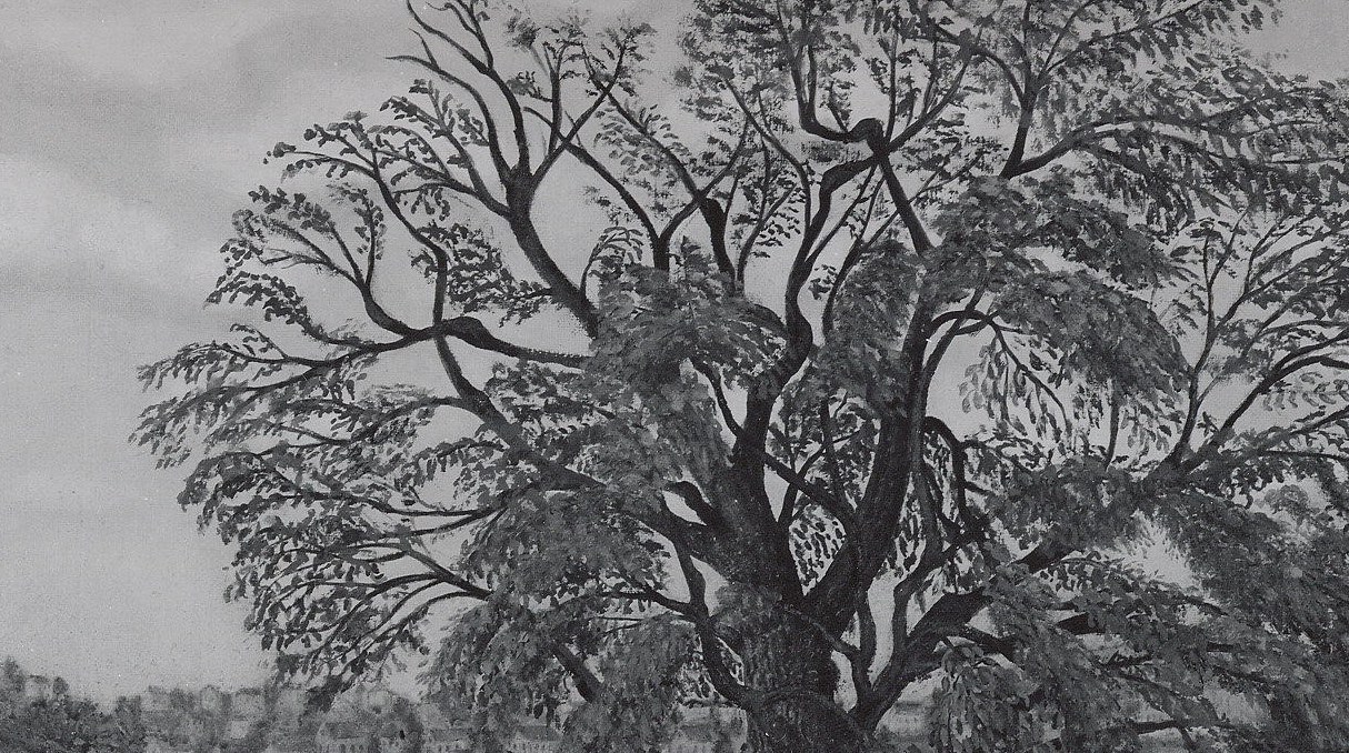 Look at the intricate network of branches.