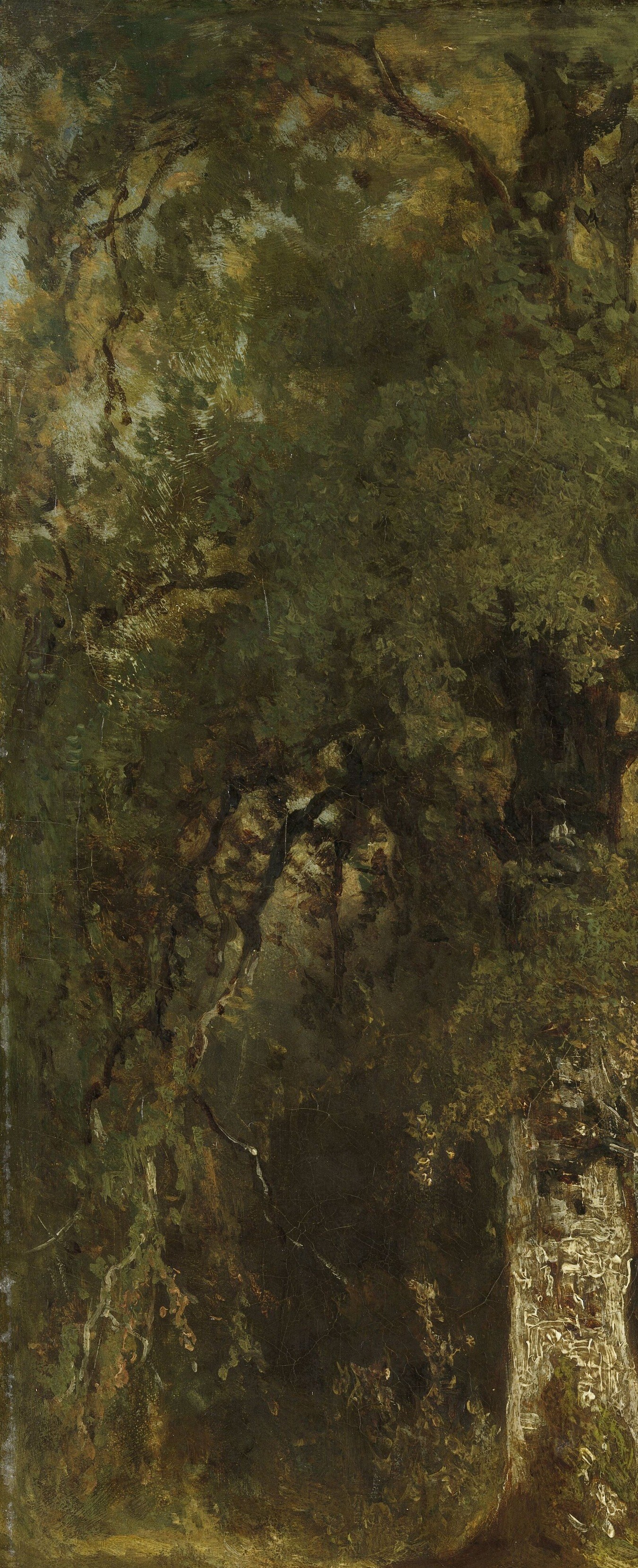 The heavy shadows and thick leaves on the left create a sense of enclosure and mystery.