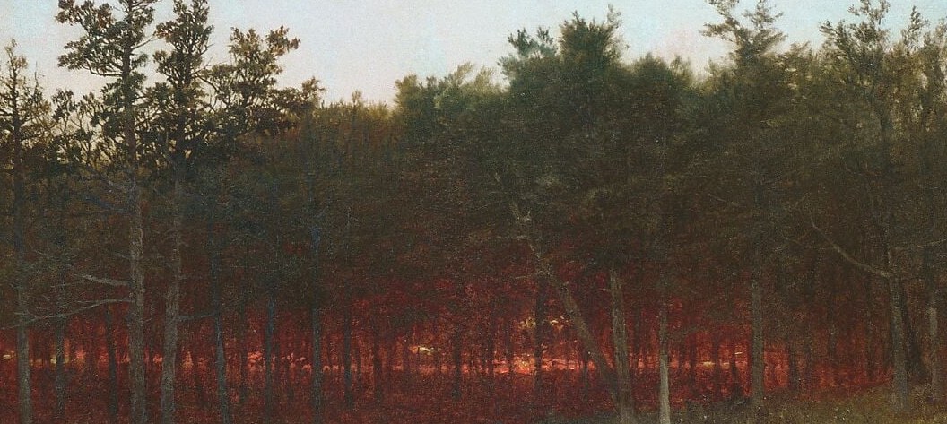 But here, deep in the cedars, no hint of the outside world.