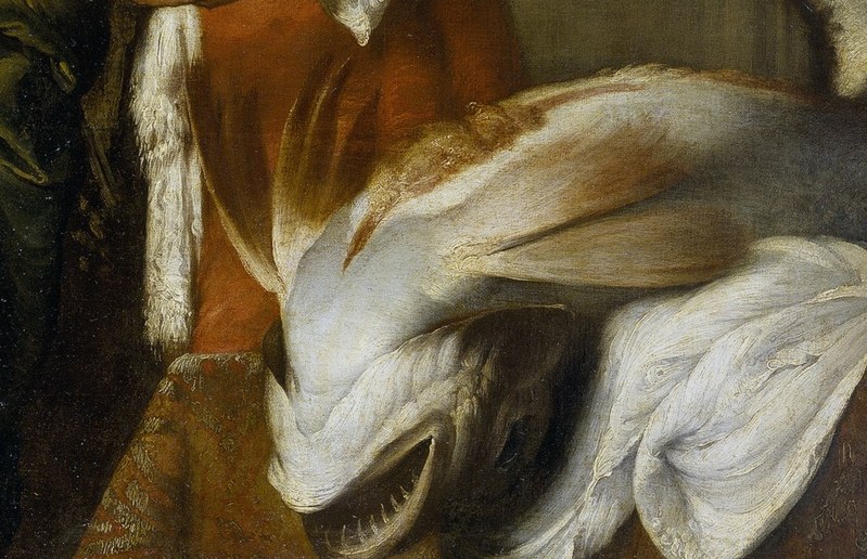This healing comes from a fish, as told in the Bible.