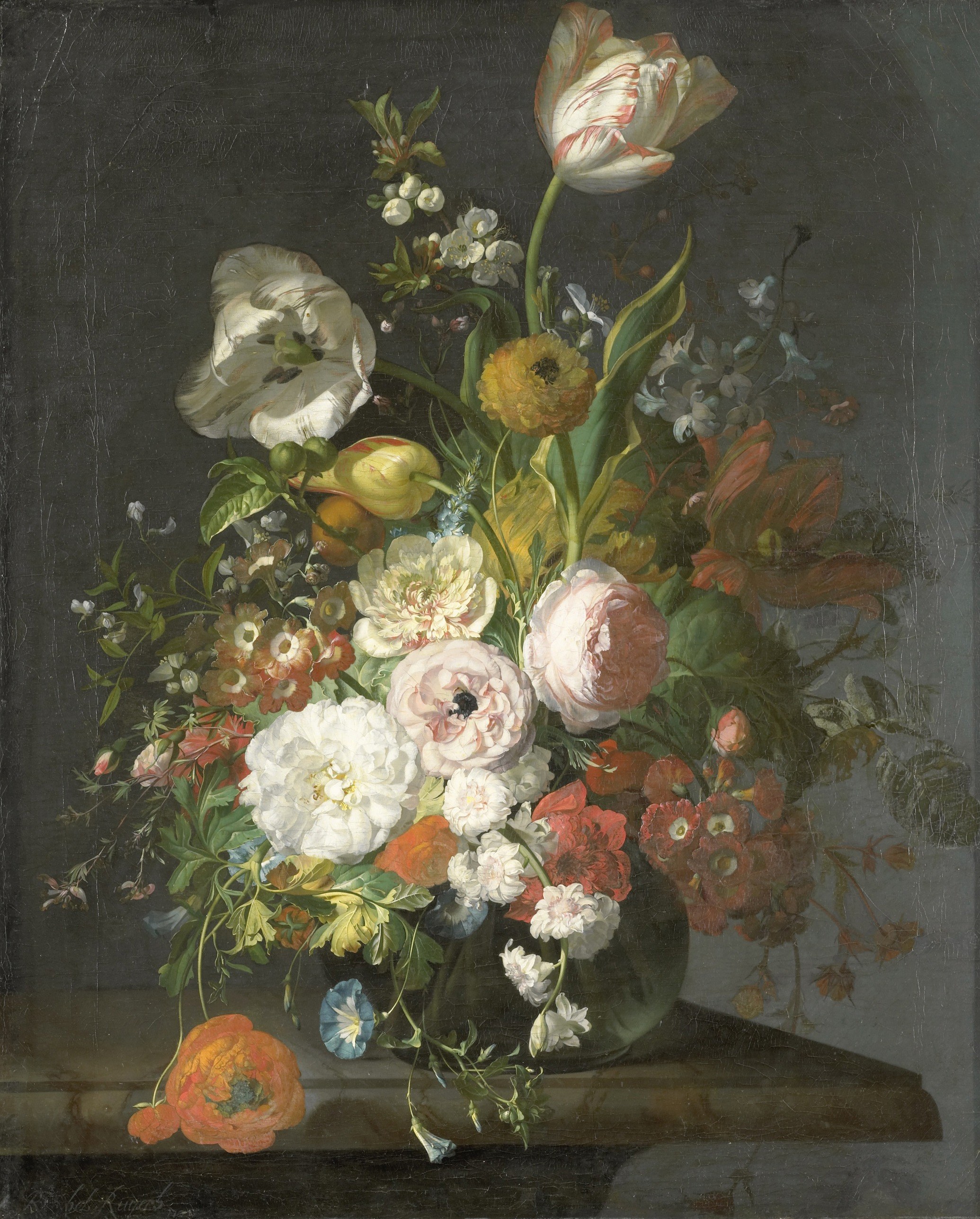 The deep, almost black background makes the vibrant colors and forms of the flowers stand out dramatically, enhancing their luminosity.