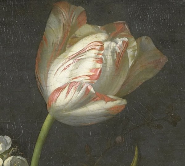 Its prominent position and delicate striping suggest it's a prized specimen, symbolizing beauty and perhaps transience.