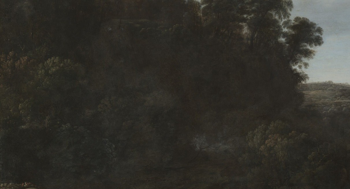 A dense, dark mass of trees and foliage that creates a sense of depth and mystery, obscuring what lies beyond.