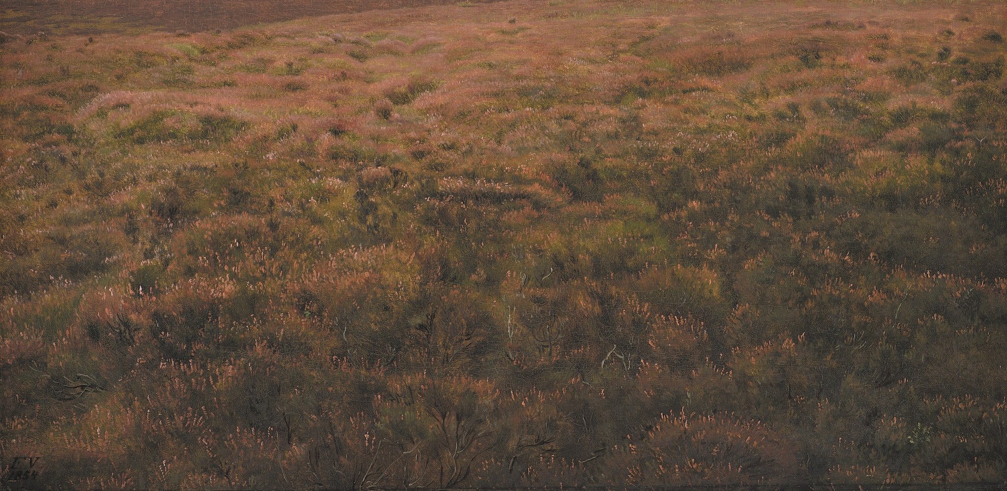 The vast, textured expanse of heather and scrub conveys a sense of isolation and the raw beauty of nature.