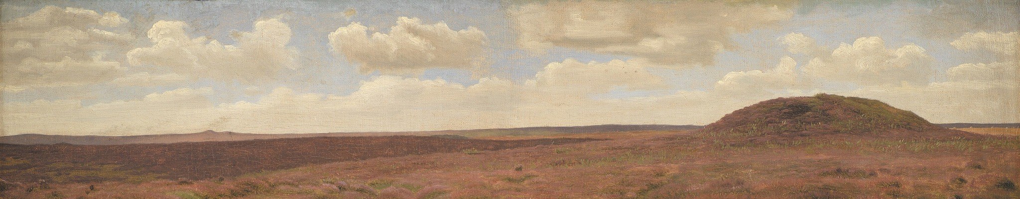The soft, diffused light from the sky suggests a specific time of day and mood, possibly late afternoon or early morning.