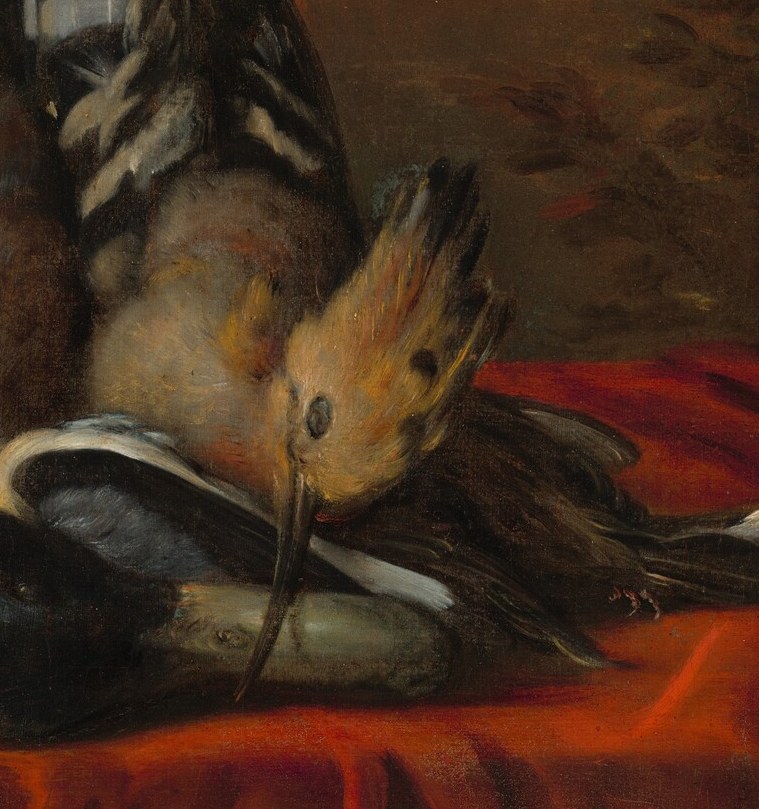 And many birds, like this one with its iridescent feathers.