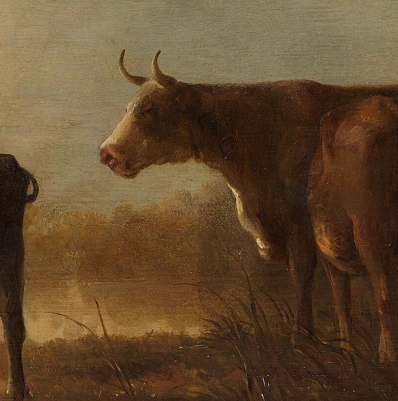 Scan the herd. Find the one watching back.