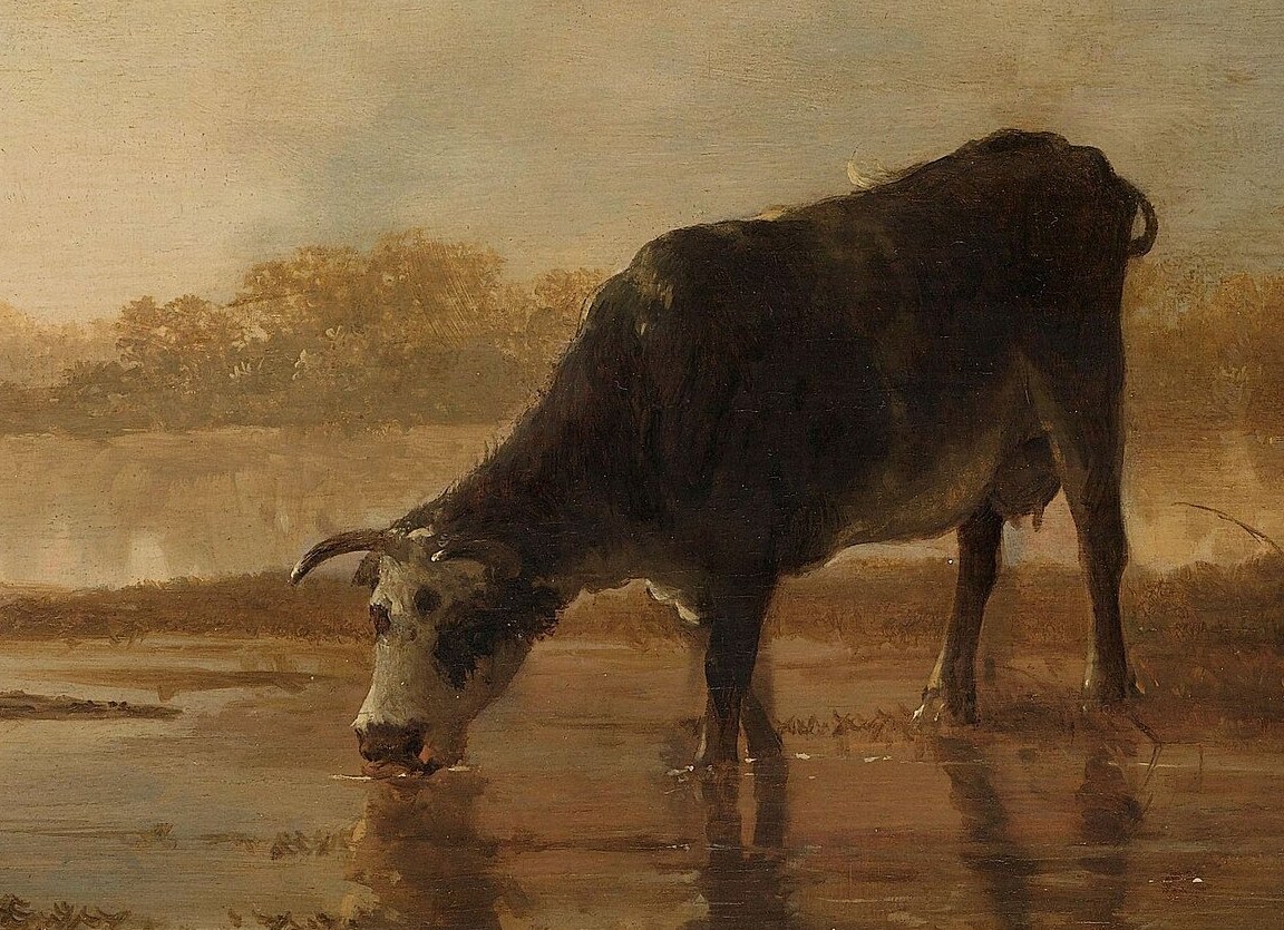 Below the dark cow, its own reflection drinks upside down.